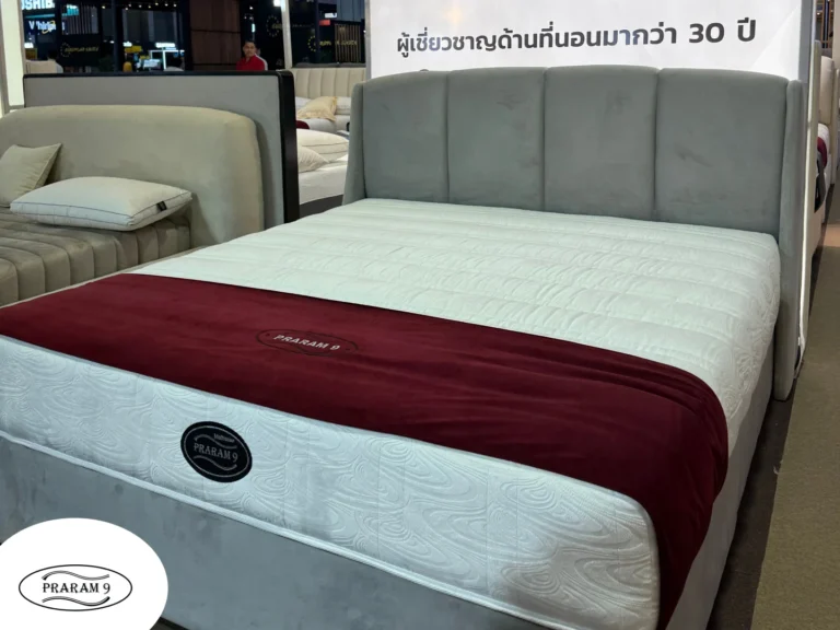 ผลงานออกแบบ ผลิต จัดส่ง ติดตั้ง ที่นอน เตียงนอน โซฟาของแบรนด์ที่นอนพระราม 9 (9)